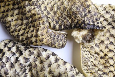 Çıtır balık derisi cipsleri ya da beyaz arka planda izole edilmiş balık krakerleri.