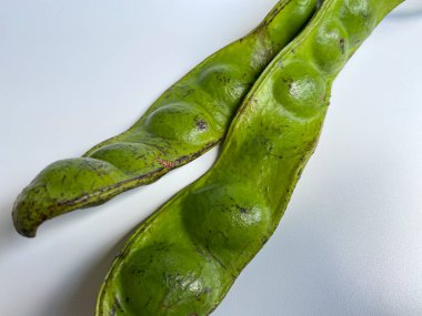 Parkia Specosa ya da acı fasulye, beyaz arka planda izole edilmiş.