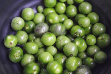 Solanum nigrum meyvesi, Avrupa siyah itüzümü veya leunca, düz ya da üst görünüm