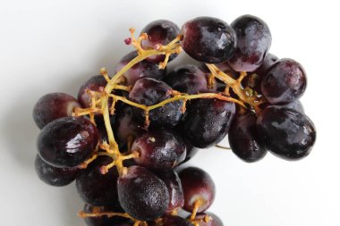 Koyu mor ya da siyah üzüm saplı, beyaz arkaplanda izole.