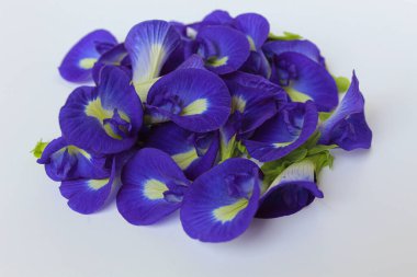 Klitoria ternatea 'nın mor çiçekleri ya da kelebek bezelye çiçeği ya da bunga telang yığını, beyaz arka planda izole edilmiş.