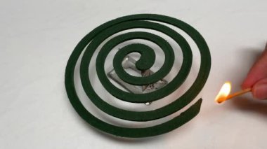 Asyalı kadın el kibrit yakarak yeşil bir sivrisinek bobini yakıyor. Beyaz arkaplanda izole