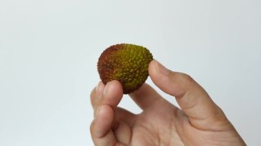 Lychee meyvesi ya da Litchi çingenesi tutan bir el. Meyvenin dışını gösteriyor. Beyaz arkaplanda izole. 
