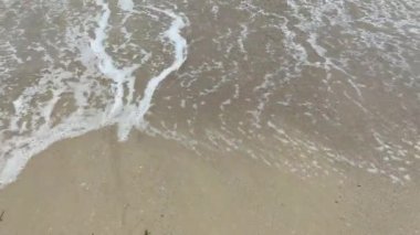 Deniz köpüğü, çamurlu sahilde deniz dalgaları.