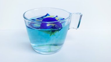 Taze kelebek yaprağı mayalamak ya da klitoria ternatea. Şeffaf camın içinde, beyaz arka planda izole edilmiş. Zamanaşımı difüzyonu 