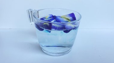 Taze kelebek yaprağı mayalamak ya da klitoria ternatea. Şeffaf camın içinde, beyaz arka planda izole edilmiş. Zamanaşımı difüzyonu 