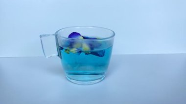 Taze kelebek yaprağı mayalamak ya da klitoria ternatea. Şeffaf camın içinde, beyaz arka planda izole edilmiş. Zamanaşımı difüzyonu 