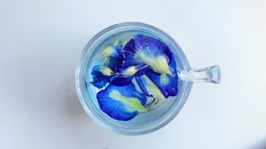 Taze kelebek yaprağı mayalamak ya da klitoria ternatea. Şeffaf camın içinde, beyaz arka planda izole edilmiş. Zamanaşımı difüzyonu 