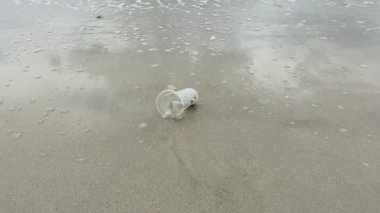 Kumsal ve plastik bardak.