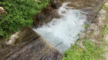 Nehir akıntılarına ya da su dalgalarına yakından bak. Yeşil yapraklar, bitkiler, kayalar ve doğa ile küçük hendekte akan temiz temiz su.