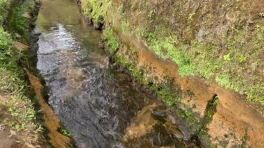 Nehir akıntılarına ya da su dalgalarına yakından bak. Yeşil yapraklar, bitkiler, kayalar ve doğa ile küçük hendekte akan temiz temiz su.
