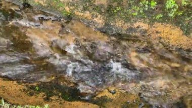Nehir akıntılarına ya da su dalgalarına yakından bak. Yeşil yapraklar, bitkiler, kayalar ve doğa ile küçük hendekte akan temiz temiz su.