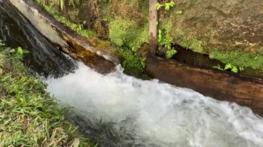 Nehir akıntılarına ya da su dalgalarına yakından bak. Tahta kenar, yeşil yapraklar, bitkiler, kayalar ve doğa ile akan temiz tatlı su.