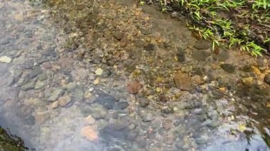 Kayalık nehir üzerinde temiz su akışı 