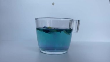 Kelebek bezelye çiçeği çayına limon ekliyorum, beyaz arka planda izole edilmiş. Renk maviden mora dönüşür