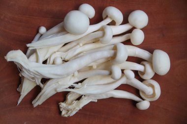 One group of bunapi shimeji, or white beech, or white clamshell mushroom, on wooden background clipart