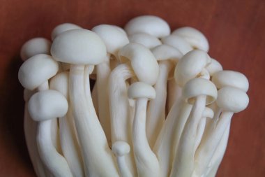 Bunapi shimeji, ya da beyaz kayın, ya da beyaz istiridye kabuklu mantar, ahşap zemin, düz ya da üst görünüm