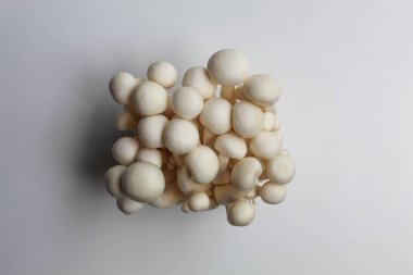 One cluster of bunapi shimeji, or white beech, or white clamshell mushroom, isolated on white background clipart