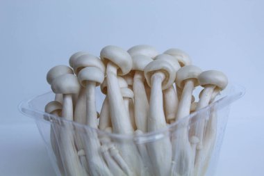 One cluster of bunapi shimeji, or white beech, or white clamshell mushroom, inside plastic container, isolated on white background clipart