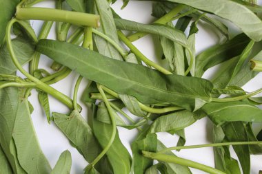 Dağıtılmış su ıspanağı yaprakları, beyaz arkaplanda, düz ya da üst görünümde