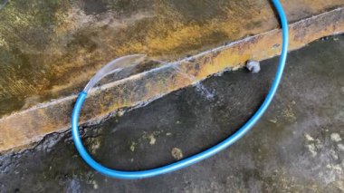 Yerdeki mavi plastik hortumdan temiz su geliyor.