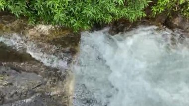 Nehir akıntılarına ya da su dalgalarına yakından bak. Yeşil yapraklar, bitkiler, kayalar ve doğa ile küçük hendekte akan temiz temiz su.