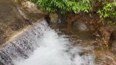 Nehir akıntılarına ya da su dalgalarına yakından bak. Yeşil yapraklar, bitkiler, kayalar ve doğa ile küçük hendekte akan temiz temiz su.