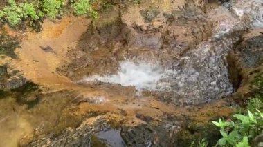 Nehir akıntılarına ya da su dalgalarına yakından bak. Yeşil yapraklar, bitkiler, kayalar ve doğa ile küçük hendekte akan temiz temiz su.