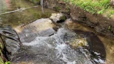 Nehir akıntılarına ya da su dalgalarına yakından bak. Yeşil yapraklar, bitkiler, kayalar ve doğa ile küçük hendekte akan temiz temiz su.