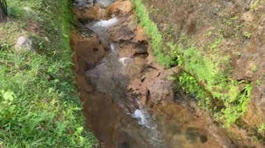 Nehir akıntılarına ya da su dalgalarına yakından bak. Yeşil yapraklar, bitkiler, kayalar ve doğa ile küçük hendekte akan temiz temiz su.