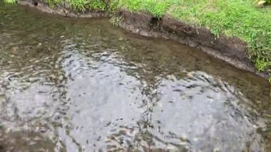 Suyun yüzeyinde, nehir taşlarının arka planında hafif yatıştırıcı dalgalar var. 