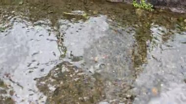 Suyun yüzeyinde, nehir taşlarının arka planında hafif yatıştırıcı dalgalar var. 