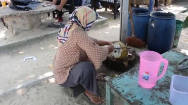 Jepara, Endonezya - 10 Aralık 2022: Hindistancevizi suyu olarak servis edilmek üzere hindistan cevizini palayla soyan tesettürlü Asyalı bir kadın