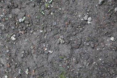 Kuru toprak veya zemin manzarasını kapat