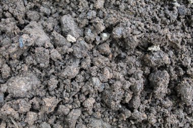 Kuru toprak veya zemin manzarasını kapat