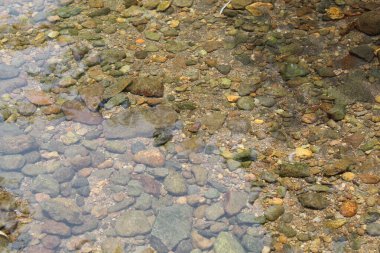 Kayalık nehir üzerinde temiz su akışı