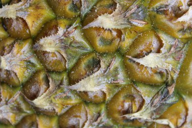 Doku ananasının dış görünüşünü kapat