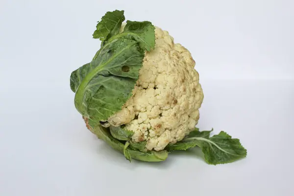 Beyaz arka planda izole edilmiş bir beyaz karnabahar