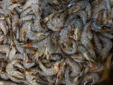 Süpermarkette, düzlükte ya da en üstte satılık pişmemiş karidesler