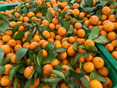 Santang portakalları ya da mandalinalar süpermarketin yeşil kutusunda.