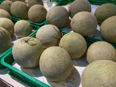 Süpermarketteki kavun, kesilmemiş.