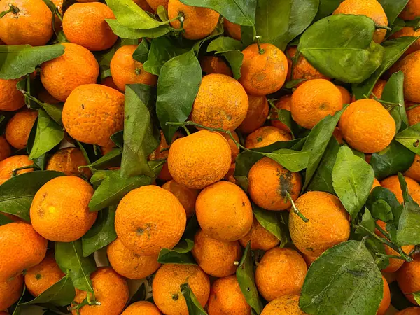 Süpermarket tezgahındaki santang portakalları ya da shantang mandalinaları yığını, üst görünüm ya da düz yatış