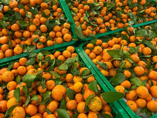 Santang portakalları ya da mandalinalar süpermarketin yeşil kutusunda.