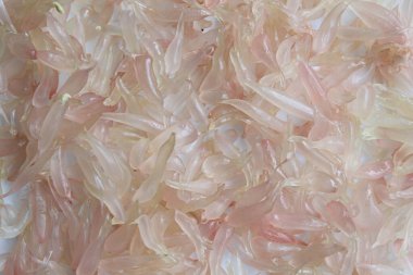 Portakallı meyve hamuru yığını, arka plan kadar dolu.