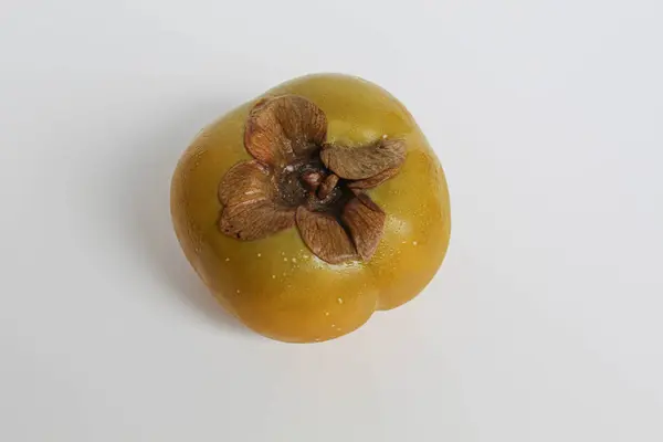 Beyaz arka planda izole edilmiş bir hurma ağacı.