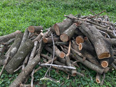 Yeşil çimlerin üzerinde odun yığını