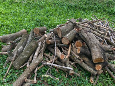 Yeşil çimlerin üzerinde odun yığını
