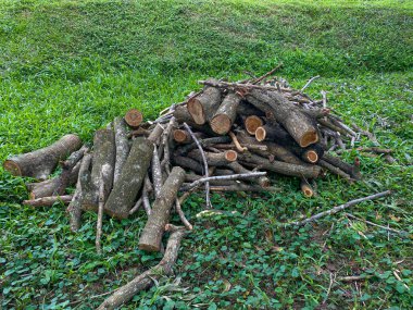 Yeşil çimlerin üzerinde odun yığını