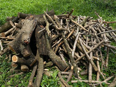 Yeşil çimlerin üzerinde odun yığını