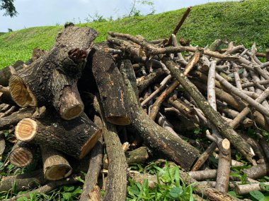 Yeşil çimlerin üzerinde odun yığını